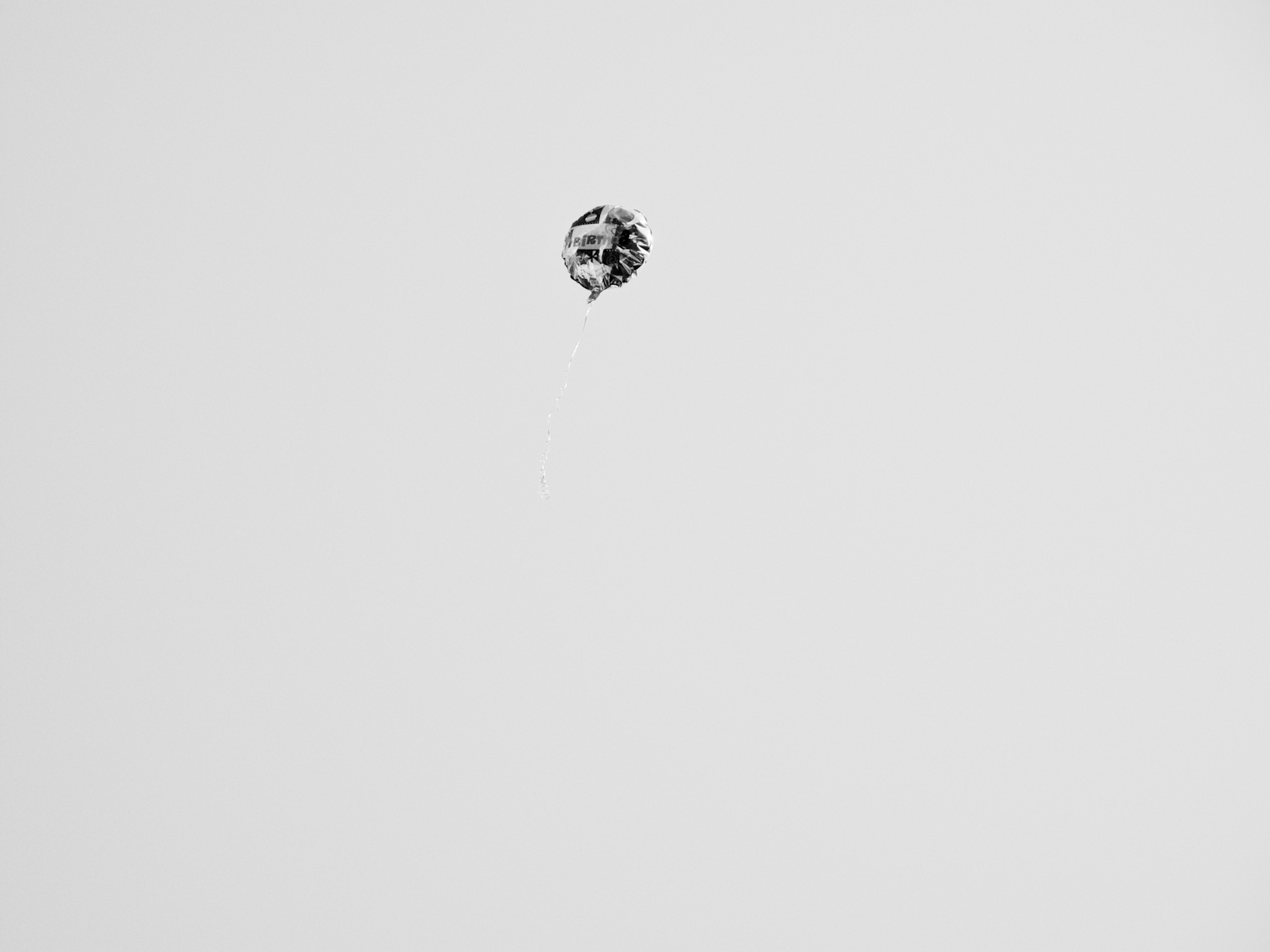 av_20090822_0016.jpg
